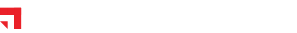 Webiste Logo
